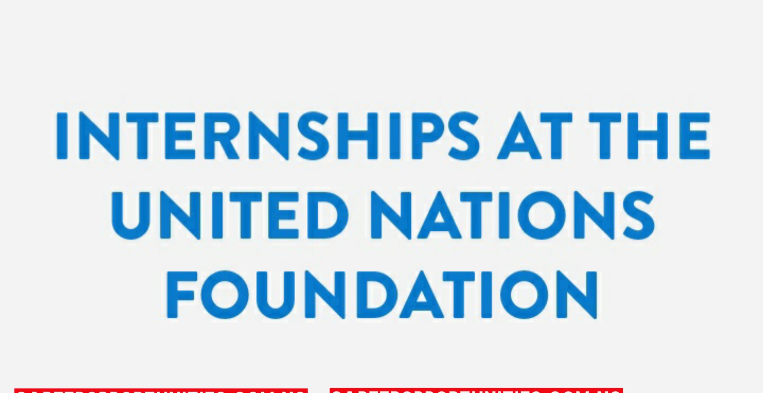 Multiple internship at United Nations