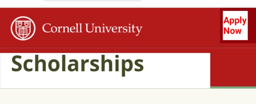 IMG 20221025 WA0011 - Cornell University Scholarship For International Students 2023