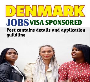 20221105 164354 - Denmark Visa Sponsorship Jobs(Live and Work in Denmark)