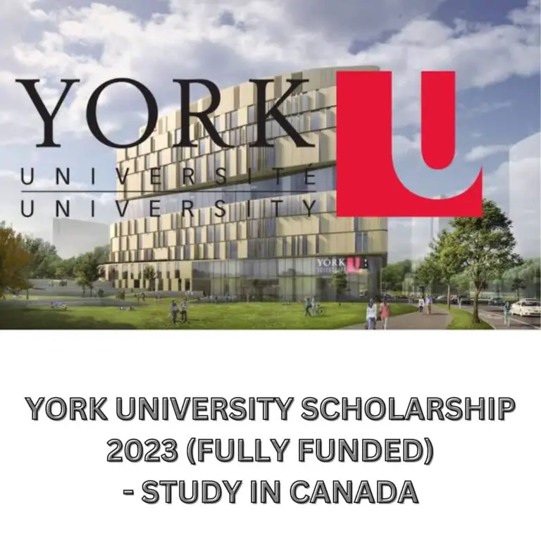 York University Scholarship 2023/2024 (Fully Funded)- Study in Canada