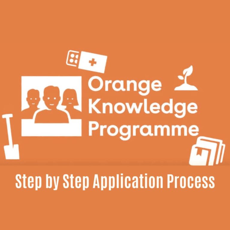 Orange knowledge Scholarship program 2023 – Step by Step Application Process