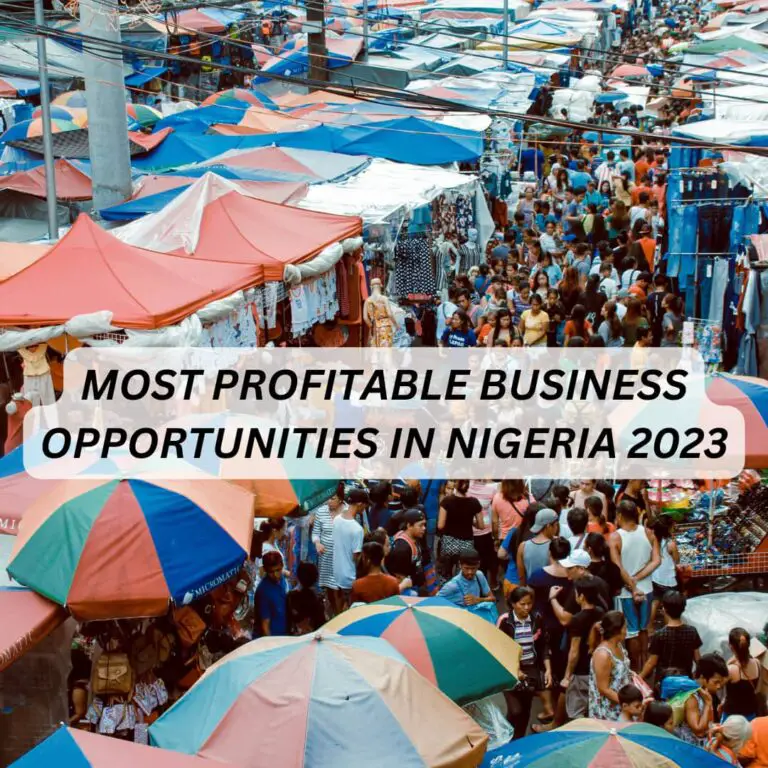 Most profitable Business Opportunities in Nigeria 2023