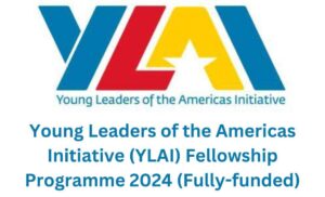 Young Leaders of the Americas Initiative (YLAI) Fellowship Programme 2024 (Fully-funded)