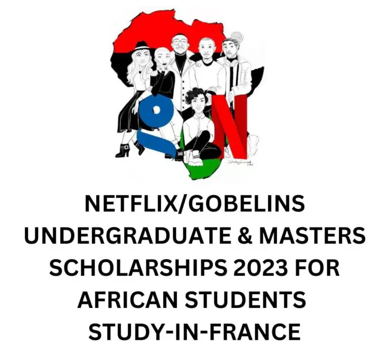 Netflix/GOBELINS Undergraduate & Masters Scholarships 2023 For African Students | Study-In-France