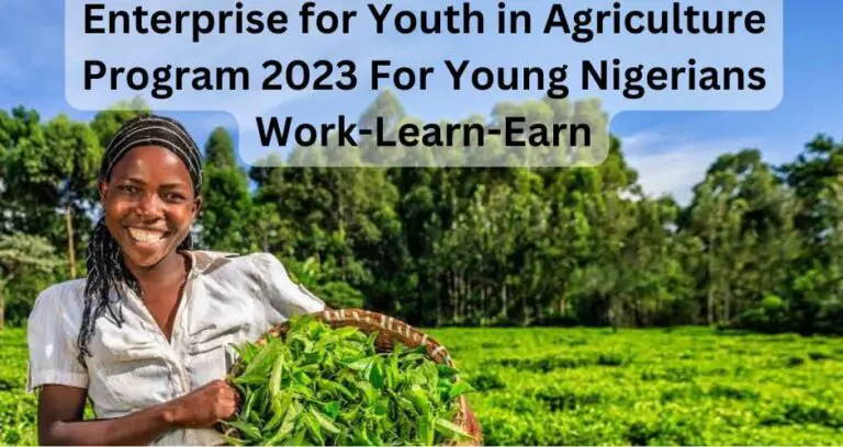 Enterprise for Youth in Agriculture Program 2023 For Young Nigerians | Work-Learn-Earn