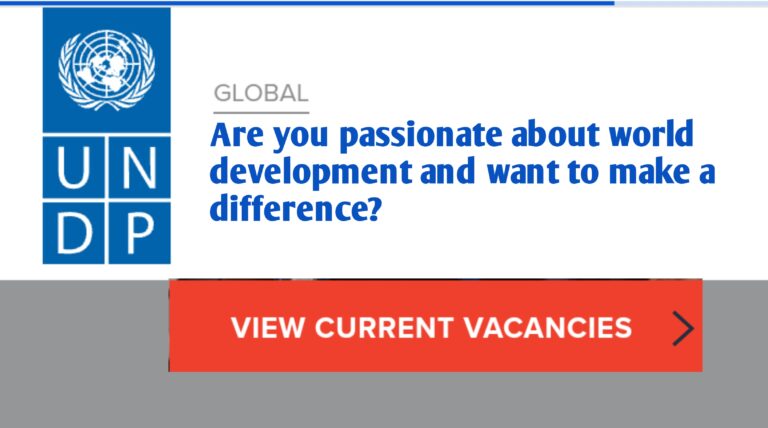 UNDP careers Open Vacancies