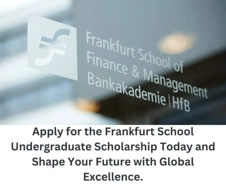 Empowering Global Changemakers: The Frankfurt School Undergraduate Scholarship Programme 2023 for International Students