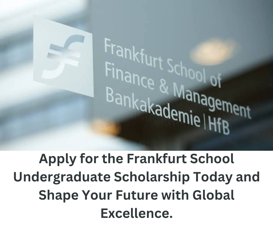 Frankfurt School Undergraduate Scholarship