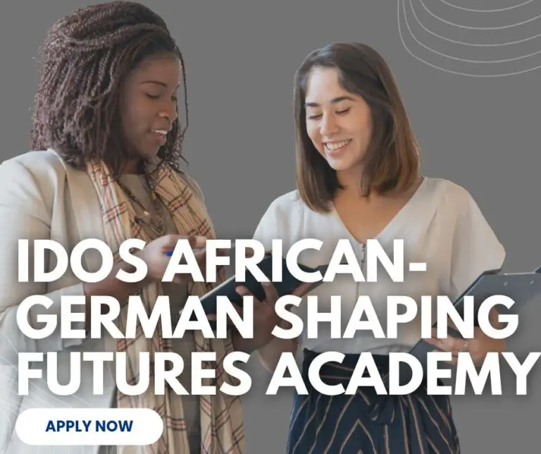 IDOS African-German Shaping Futures Academy 2024 For Young Professionals: Apply Now!