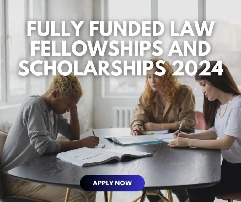 Apply Now for the SEO Law Fellowship and Scholarship Program 2024(Fully-funded)