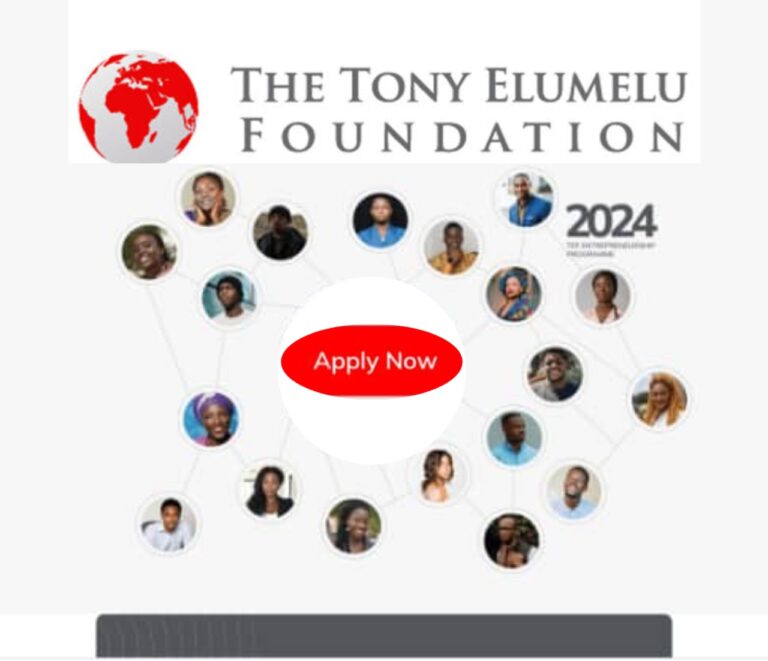 The 2024 Tony Elumelu Foundation Entrepreneurship Program For Africans