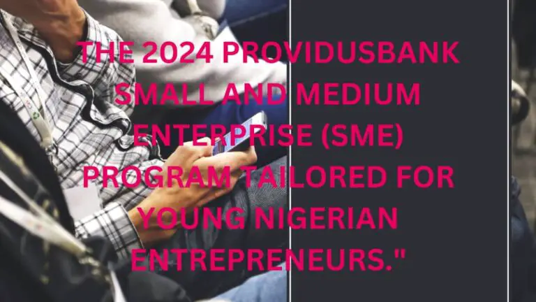 2024 PROVIDUSBANK SMALL AND MEDIUM ENTERPRISE (SME) PROGRAM TAILORED FOR YOUNG NIGERIAN ENTREPRENEURS.”