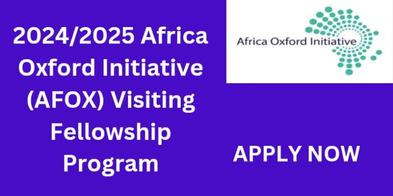 2024/2025 Africa Oxford Initiative (AFOX) Visiting Fellowship Program