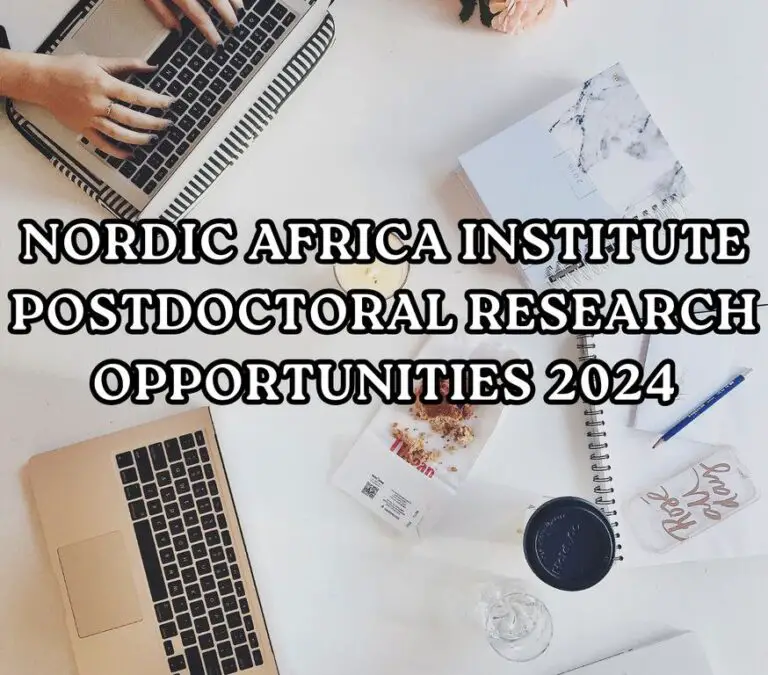 Postdoctoral Research Opportunities 2024 at Nordic Africa Institute