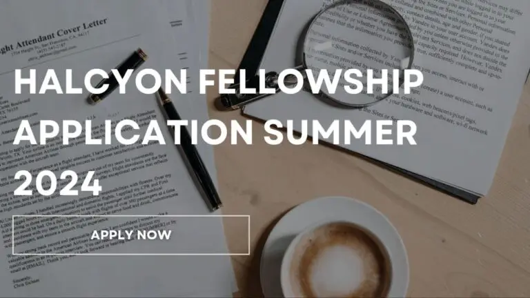 Halcyon Fellowship Application Summer 2024: Accelerating Impact-Driven Business Futures