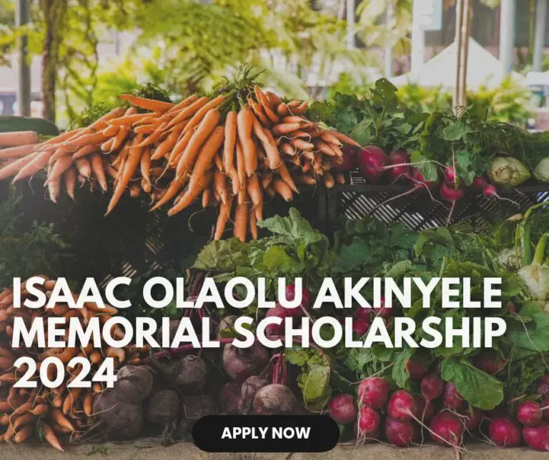 Isaac Olaolu Akinyele Memorial Scholarship 2024 for Undergraduate Students in Nutrition and Agriculture