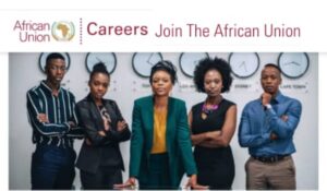 Africa Union Internship