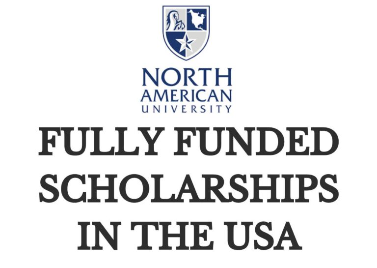 North American University 2024/2025 Scholarships USA: Apply Now!