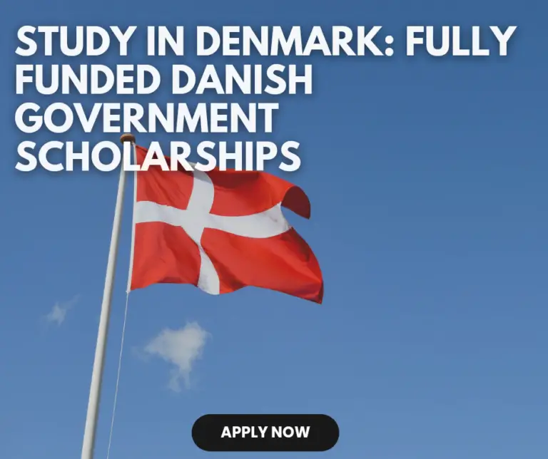 Scholarship 2024: Apply for the Danish Government Scholarship