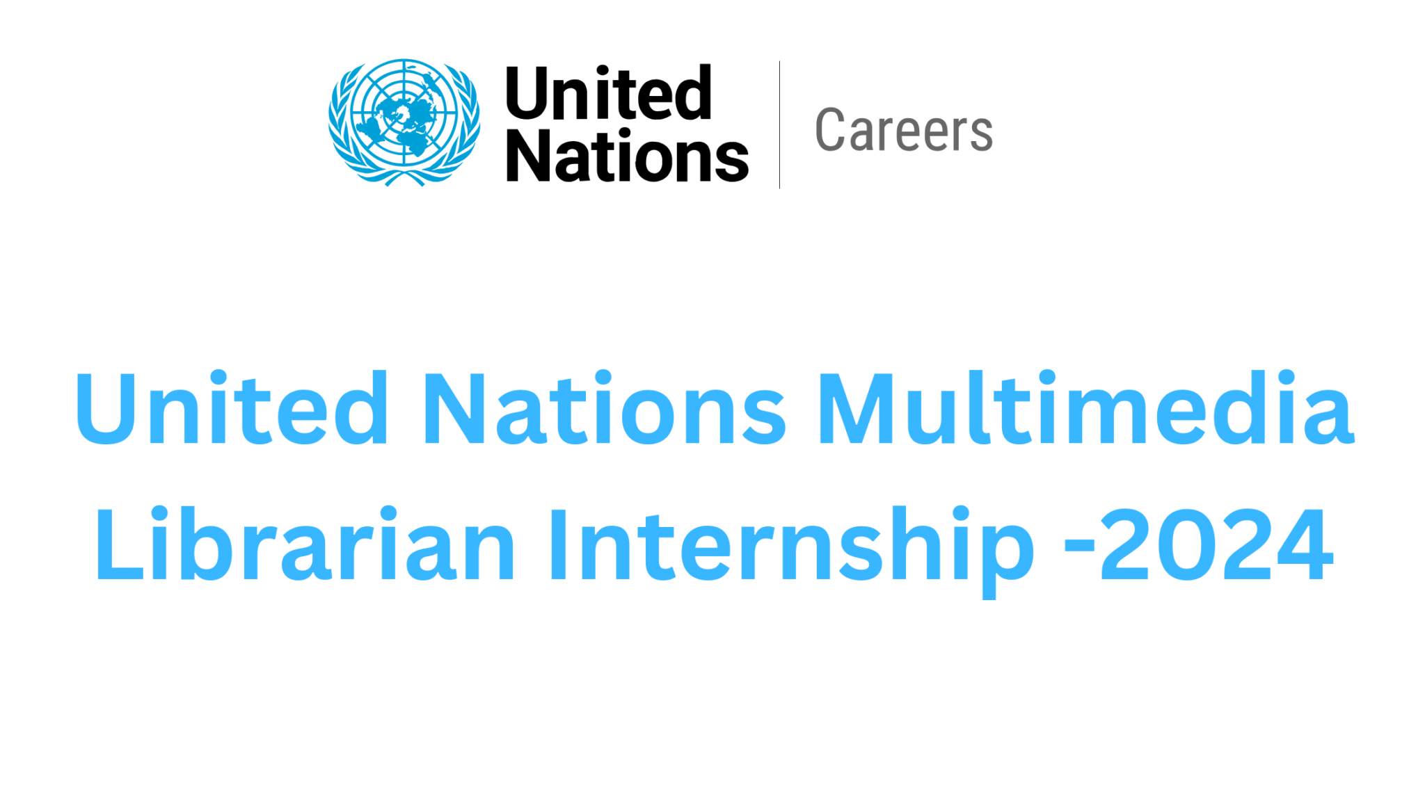 UN Multimedia Librarian/Archivist Internship Program 2024