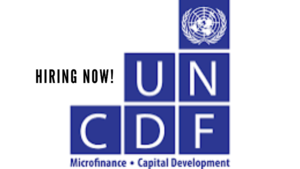 png 20240509 212835 0000 - UNCDF Policy Specialist, P3 PPC, New York, USA - Temporary Appointment