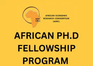 png 20240511 174507 0000 - AERC’s African Ph.D. Fellowship Program 2024: Apply Now!