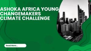 png 20240516 224133 0000 - Ashoka Africa Young Changemakers: Climate Challenge 2024