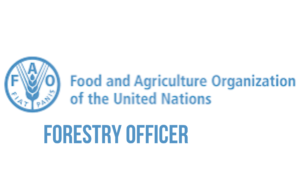 png 20240519 215238 0000 - FAO Forestry Officer Recruitment (Halting Deforestation / Forest Monitoring Asia Pacific Regional Adviser, 2024)