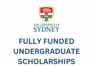 University of Sydney Undergraduate Scholarship 2024