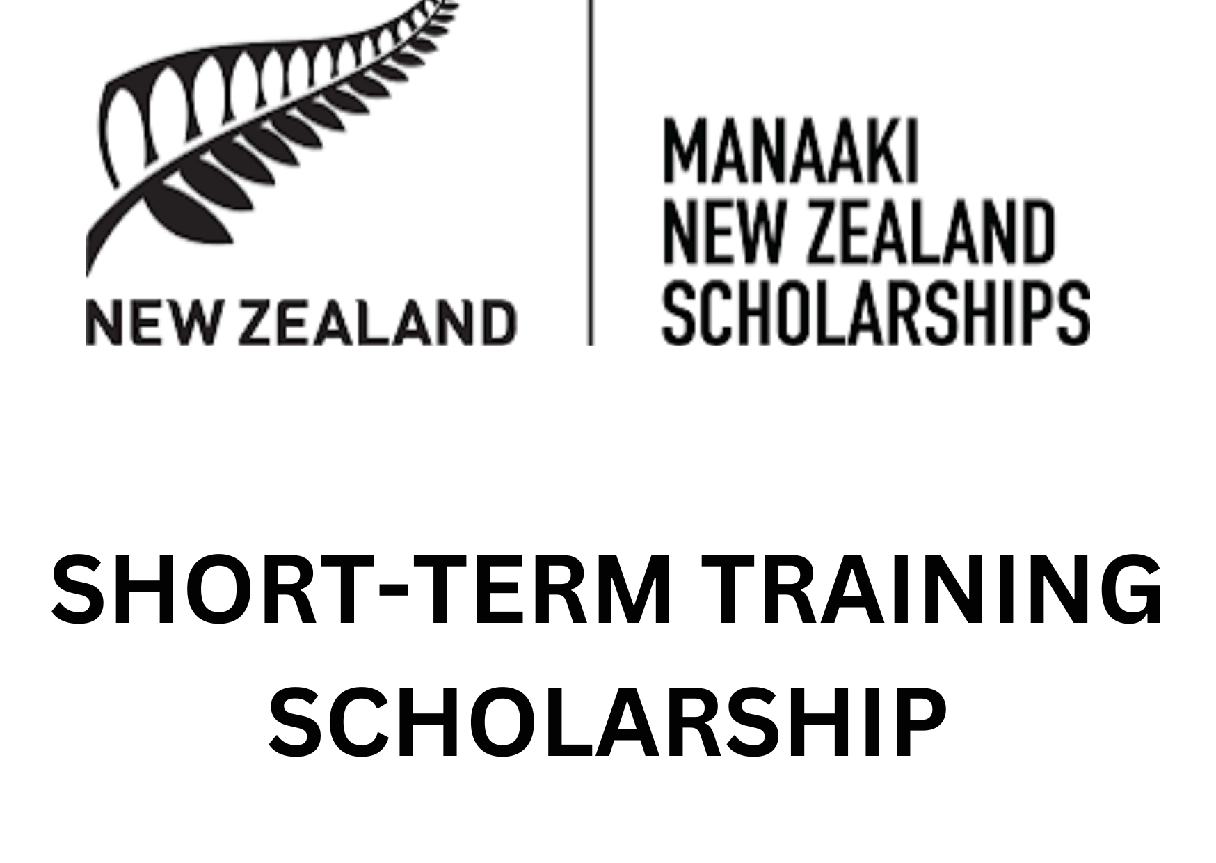 Manaaki New Zealand ShortTerm Training Scholarship 2025 For Developing