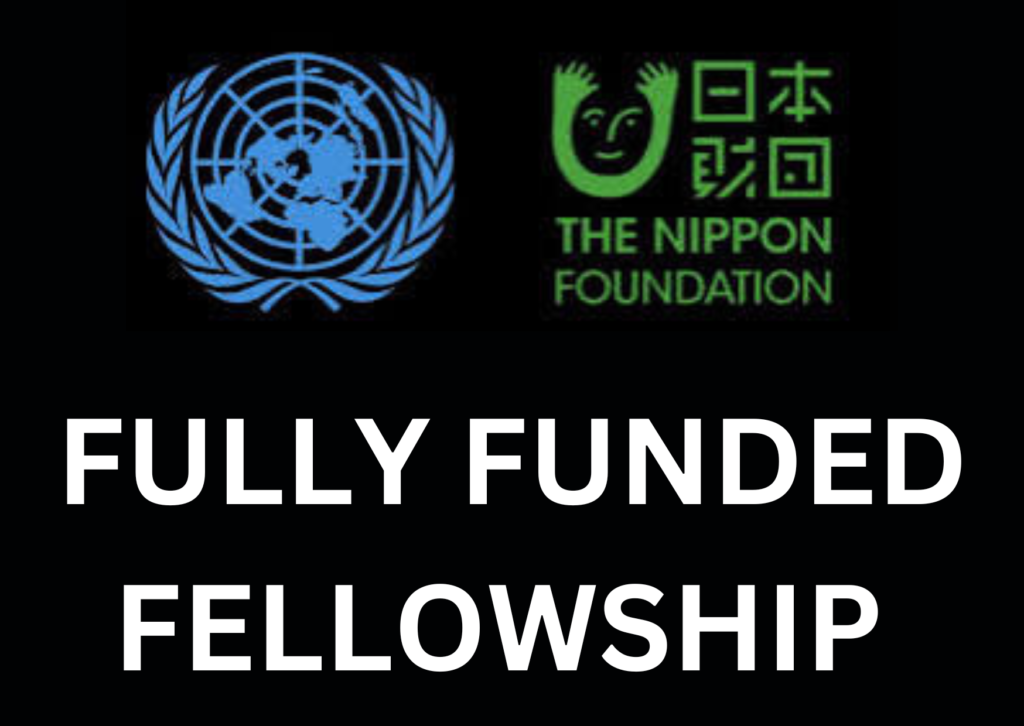 United Nations Nippon Foundation Fellowship 2025 (Fully Funded): Apply Now!