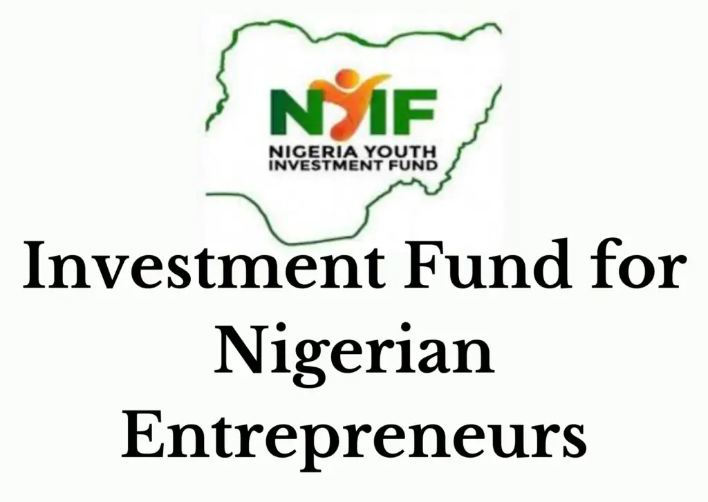 Nigeria Youth Investment Fund 2024