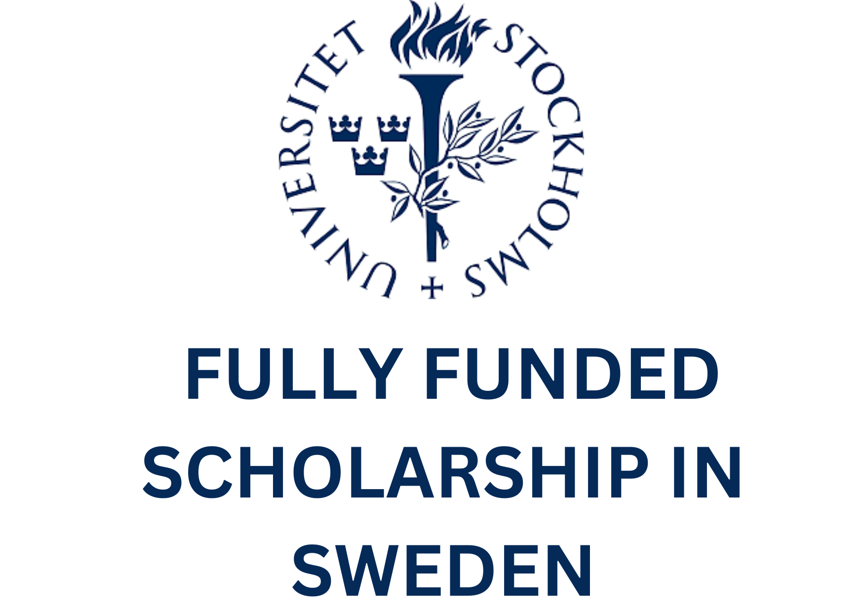 Stockholm University Scholarships 2024-2025 In Sweden: Apply Now ...