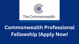 Commonwealth Professional Fellowships For Developing Countries 2024 20240718 160426 0000 - Fully Funded Commonwealth Professional Fellowship In UK For Developing Countries 2024