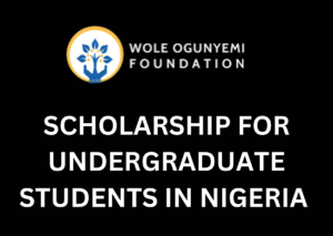 The Wole Ogunyemi 2024 Scholarship
