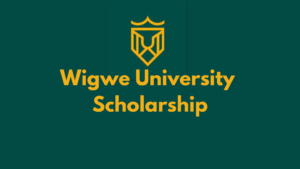 Add a heading 20240819 183606 0000 - Wigwe University Scholarship for Nigerian Students On Merit 2024