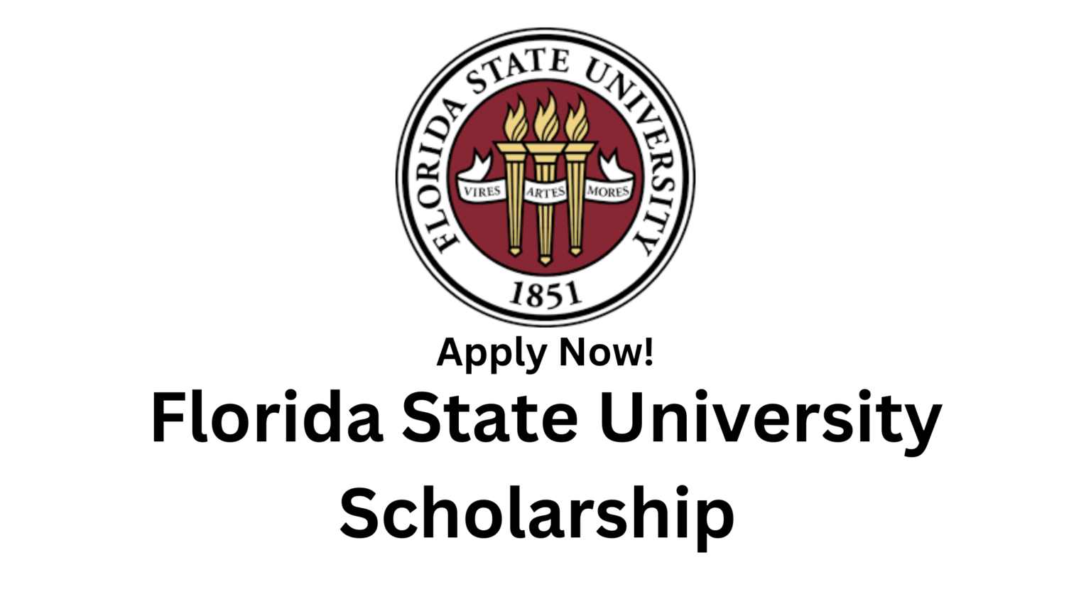 Fully Funded Florida State University Scholarship 2025 In Usa