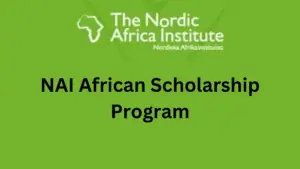 NAI African Scholarship Program 20240913 142052 0000 - NAI African Scholarship Program 2024 for African Students