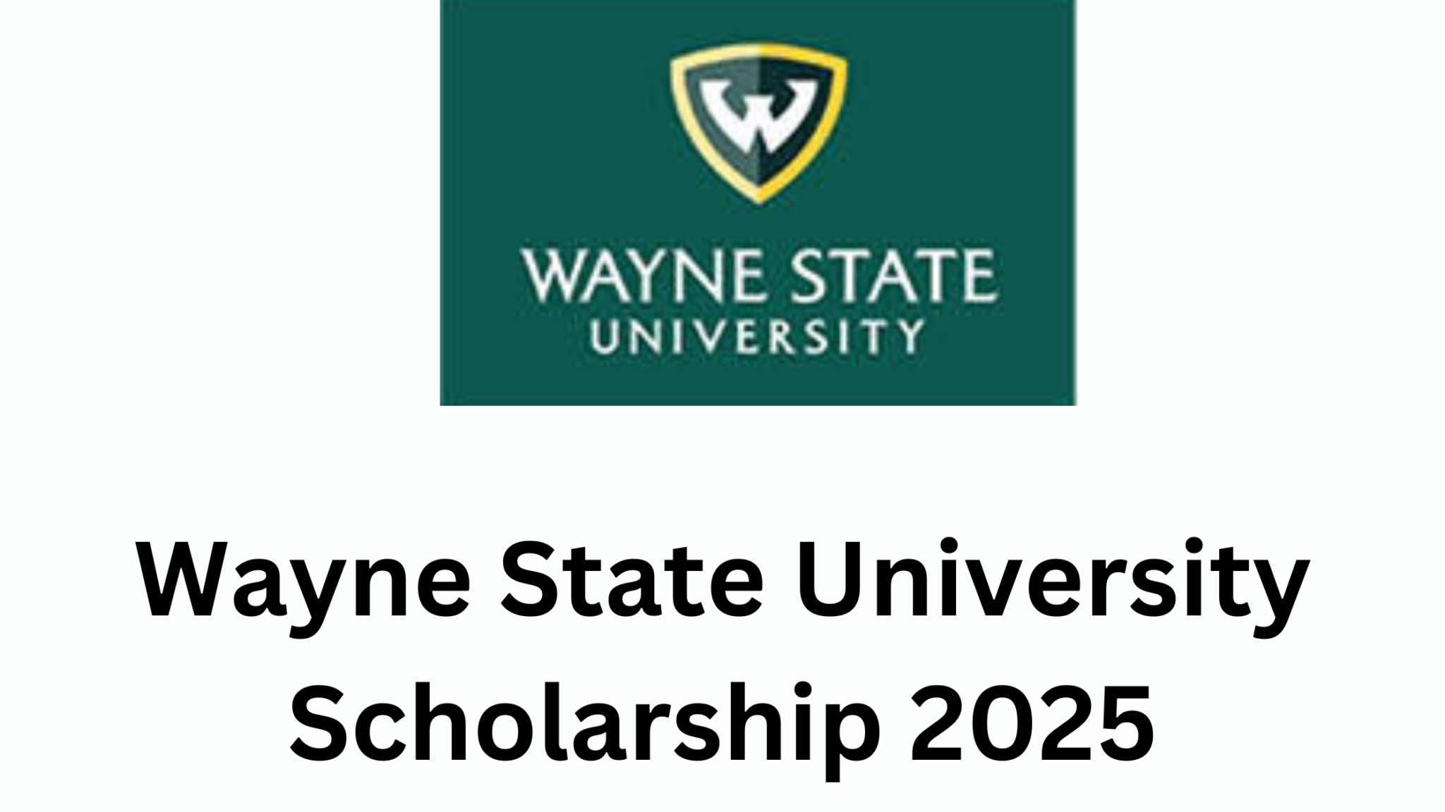 Wayne State University Scholarship 2025 For International Students Fully Funded
