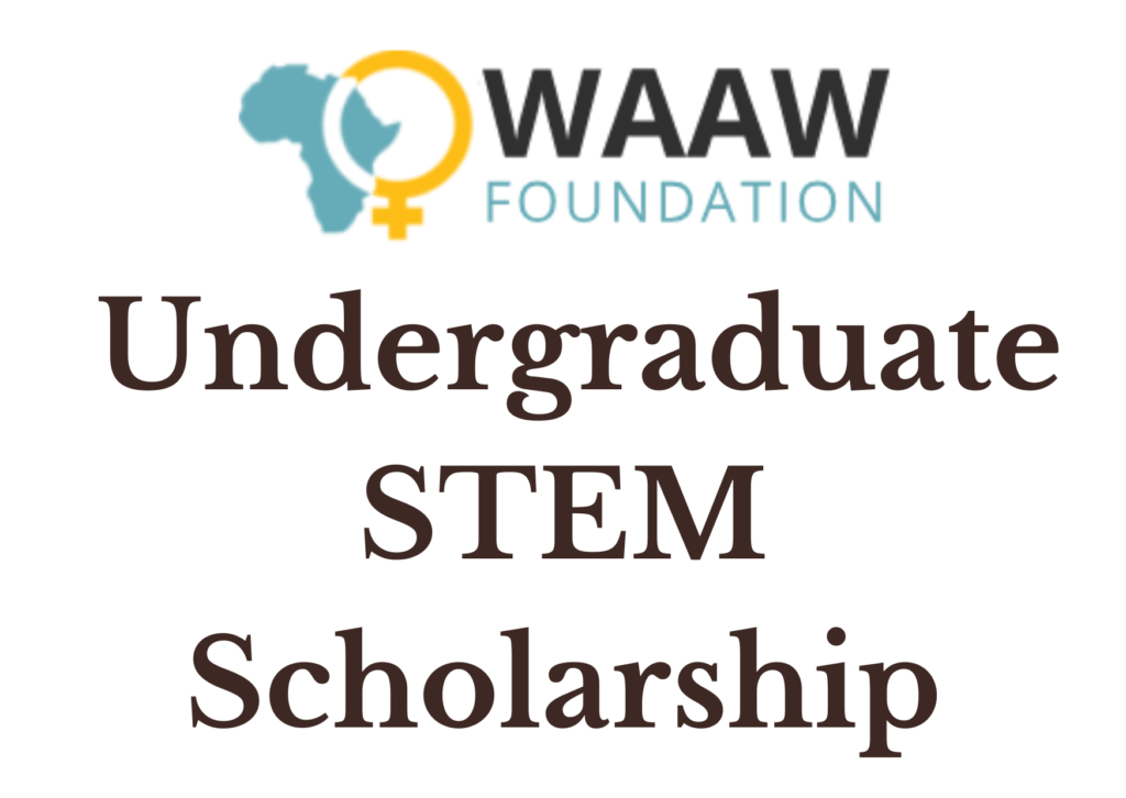 png 20240918 161510 0000 - WAAW Foundation Undergraduate STEM Scholarship 2025 for Young African Women: Apply Now!