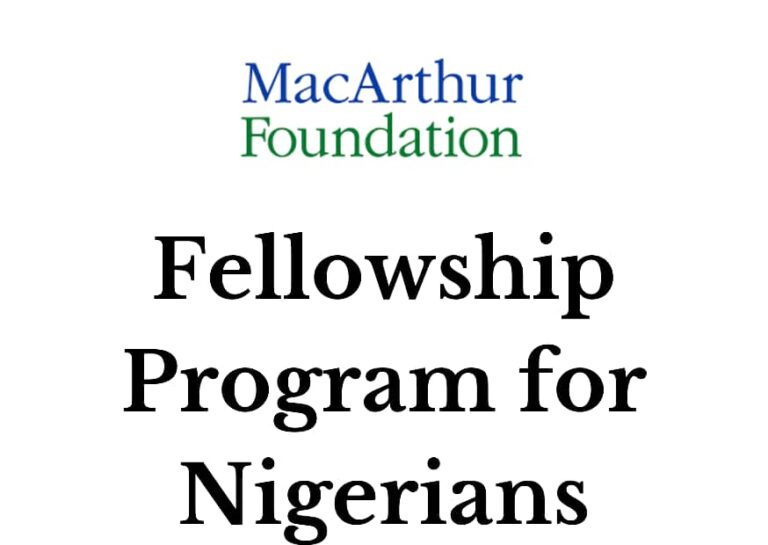 MacArthur Foundation Child Rights And Community Institute Fellowship