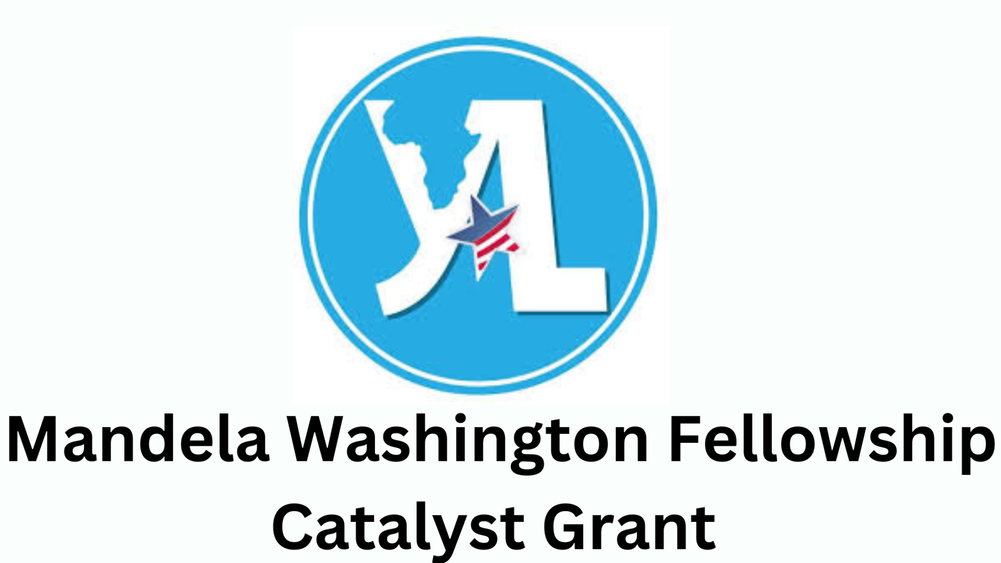Exciting Opportunity Mandela Washington Fellowship Catalyst Grant 2025