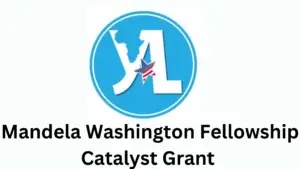 2 20241025 155740 0001 - Exciting Opportunity| Mandela Washington Fellowship Catalyst Grant 2025 for MWF Alumni