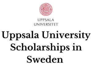 Brown Quirky Happy Graduate Card 20241011 220204 0000 - Uppsala University Scholarships 2025 in Sweden: Apply Now!