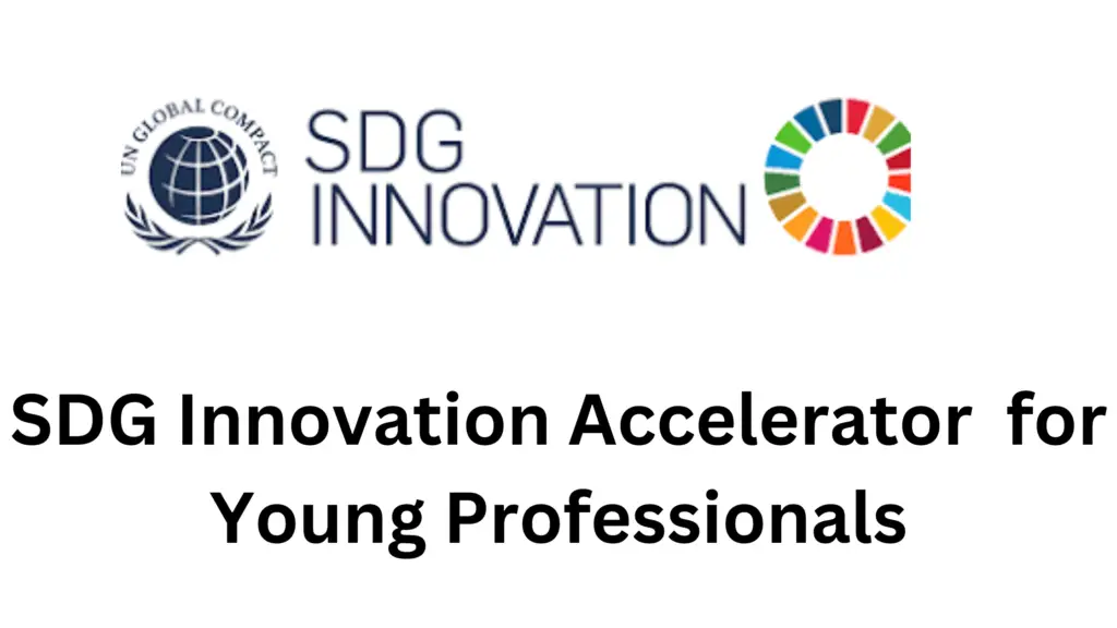 2 20241101 204648 0001 - SDG Innovation Accelerator 2024-2025 for Young Professionals