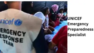 2 20241119 213048 0001 - UNICEF Emergency Preparedness Specialist|  P-3, Office of Emergency Programmes (EMOPS) Istanbul, Türkiye, #130994, [Temporary Appointment, 364 days]