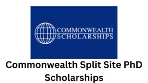 2 20241120 185307 0001 - Commonwealth Split Site PhD Scholarships 2025/26 for International Students