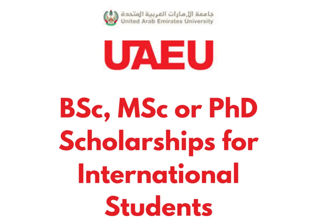 Brown Quirky Happy Graduate Card 20241123 063805 0000 - Apply for The United Arab Emirates BSc, MSc or PhD Scholarships 2025