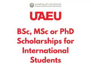 Brown Quirky Happy Graduate Card 20241123 063805 0000 - Apply for The United Arab Emirates BSc, MSc or PhD Scholarships 2025