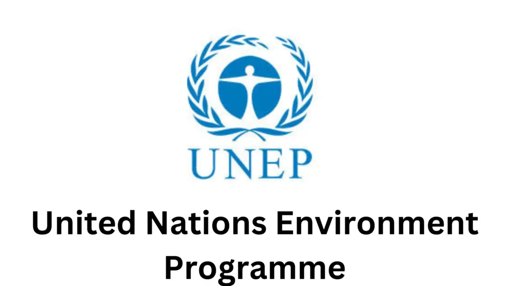 1 20241210 230137 0000 - United Nations Environment Programme, Chief of Staff Position 2025